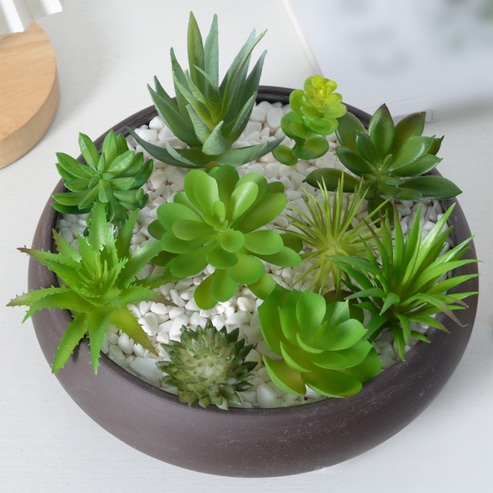 Succulent Arrangement Mini - Arranjo de Suculentas Artificiais para Mini