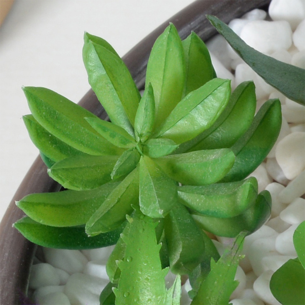 Succulent Arrangement Mini - Arranjo de Suculentas Artificiais Temáticas Contemporâneas