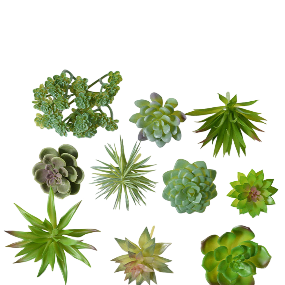 Centro de Mesa Artificial para - Succulent Arrangement Mini avaliação e preço