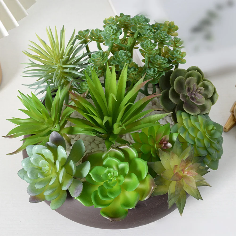 Baixa manutenção para arranjos - Succulent Arrangement Mini avaliação e preço