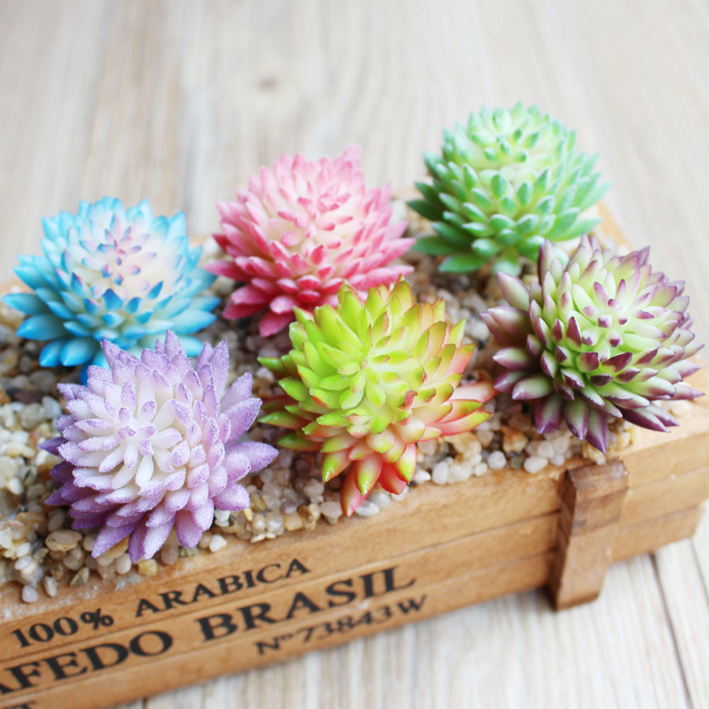 Wusmart-Plantas Suculentas Art - Succulent Arrangement Mini avaliação e preço