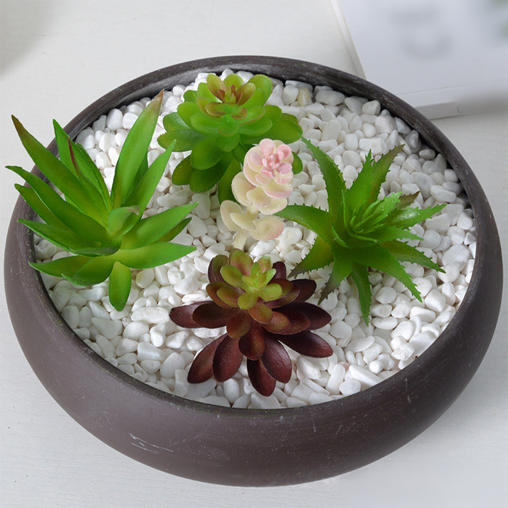 Arranjo de Suculentas Artifici - Succulent Arrangement Mini avaliação e preço