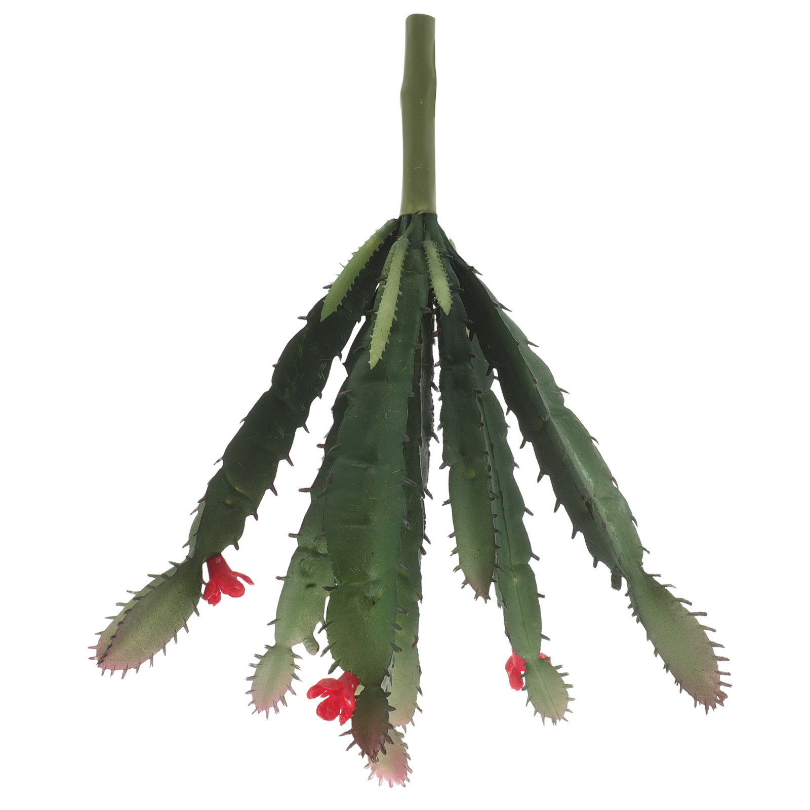 Arranjo de cactos e suculentas - Succulent Arrangement Mini avaliação e preço