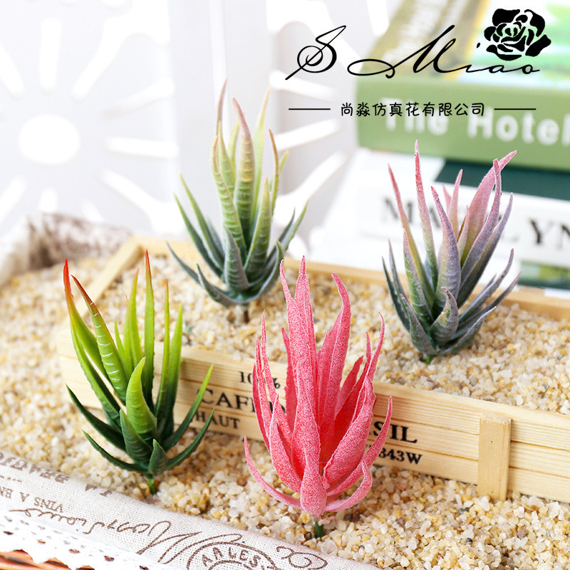 Wusmart Ban Ma Lu Hui Plantas  - Succulent Arrangement Mini avaliação e preço