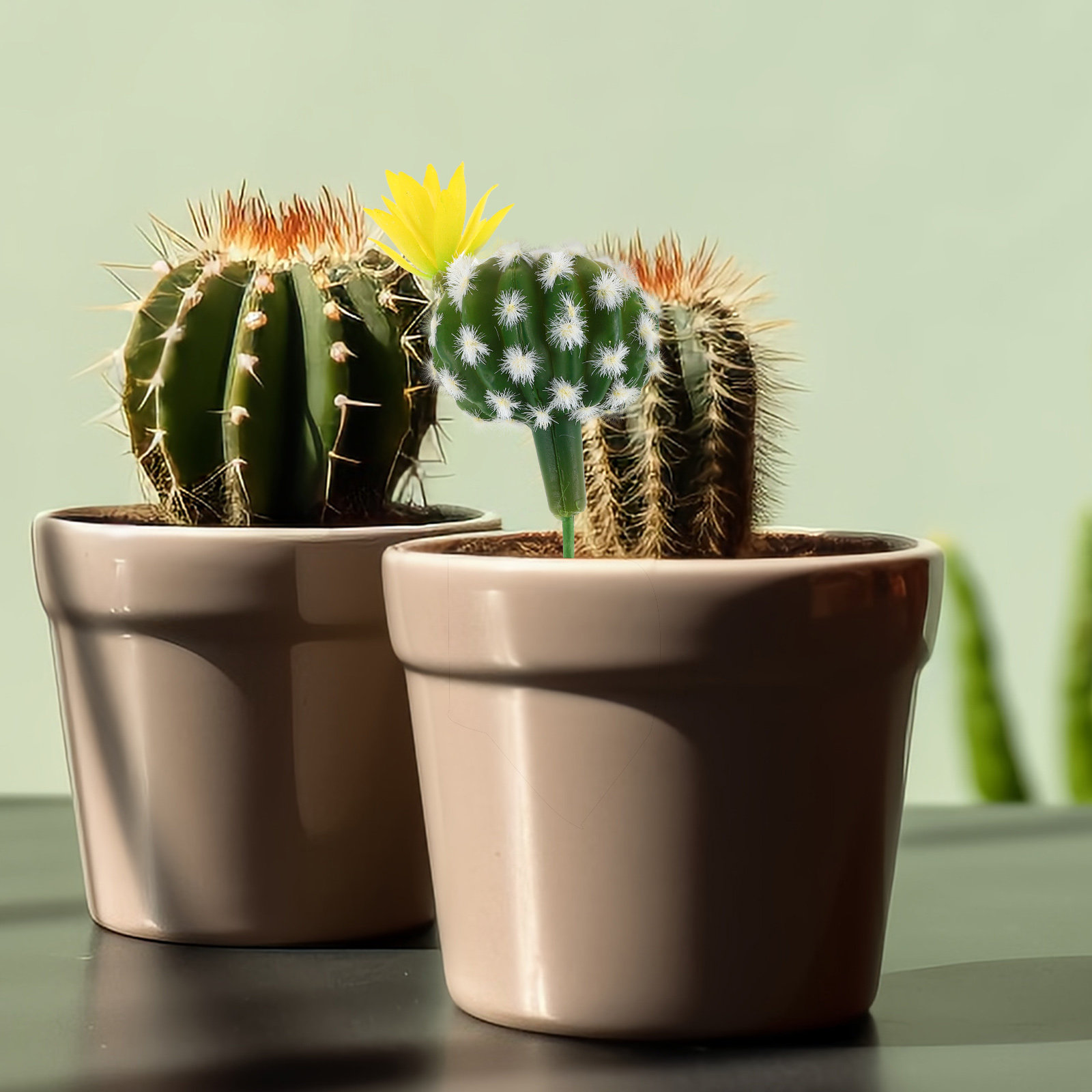 Mini plantas artificiais de ca - Succulent Arrangement Mini avaliação e preço
